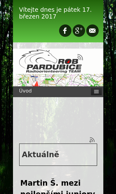 Mobile view