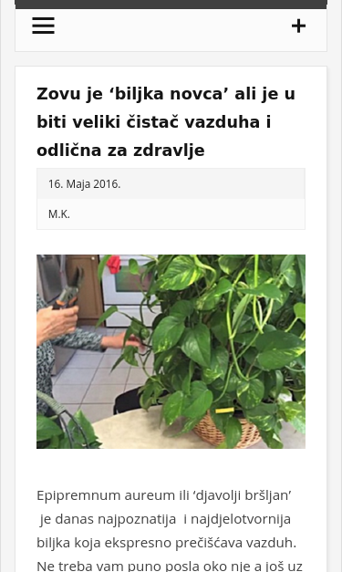 Mobile view