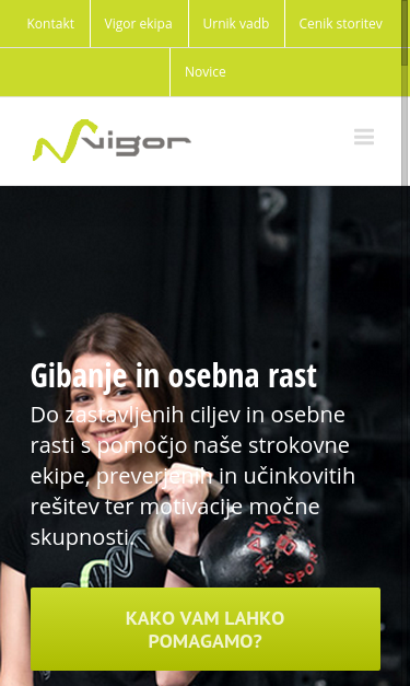 Mobile view