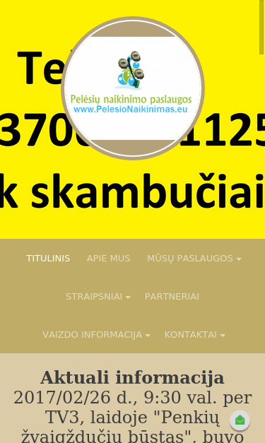 Mobile view