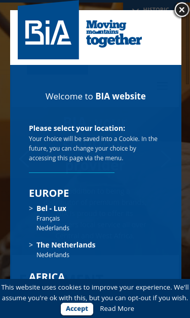 Mobile view