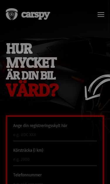 Mobile view