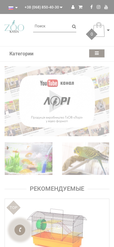 Mobile view