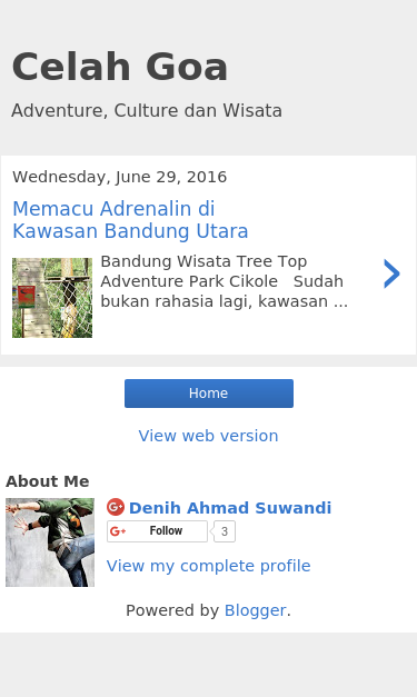 Mobile view