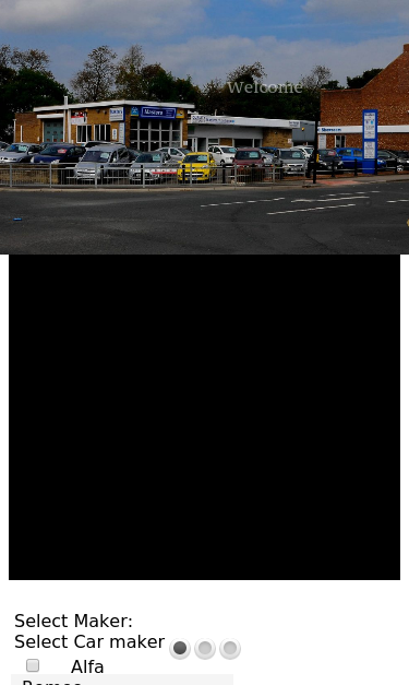 Mobile view
