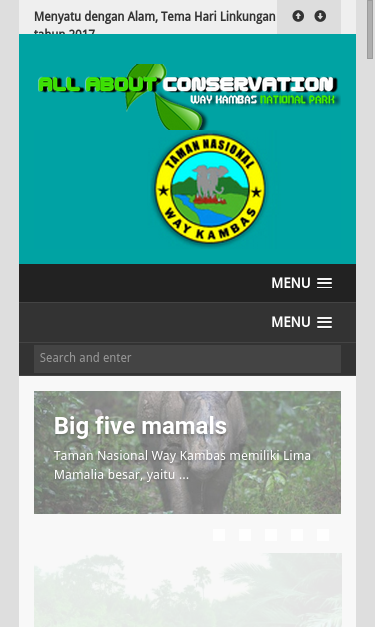 Mobile view
