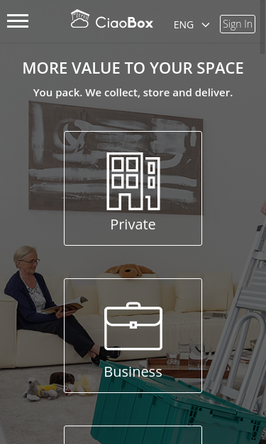 Mobile view