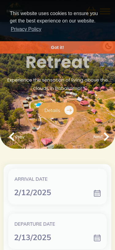Mobile view
