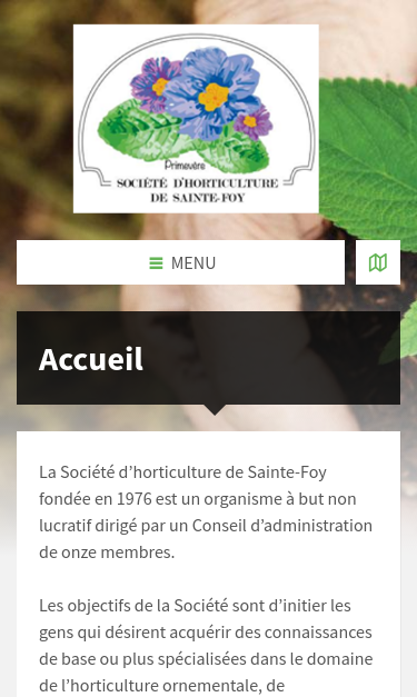 Mobile view