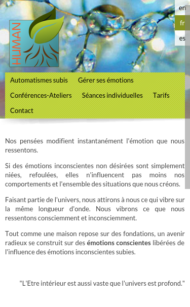 Mobile view