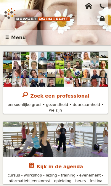 Mobile view