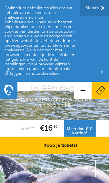 Mobile view