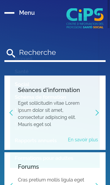 Mobile view