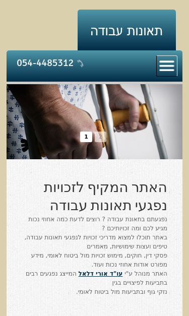 Mobile view