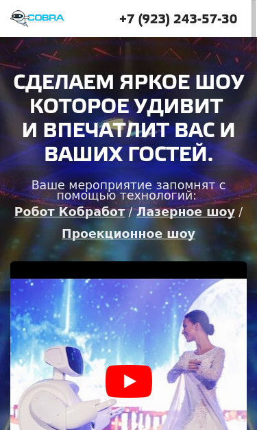 Mobile view