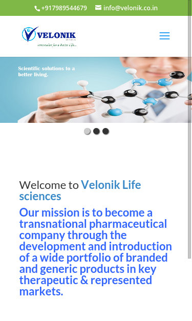 Mobile view