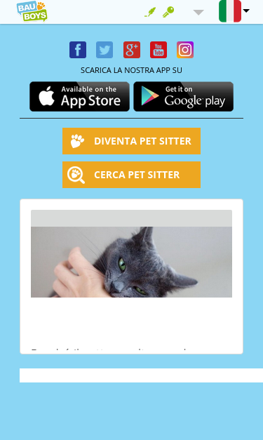 Mobile view