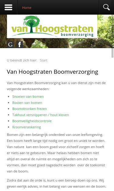 Mobile view