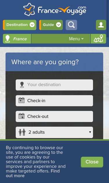 Mobile view