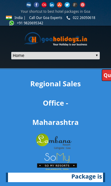 Mobile view