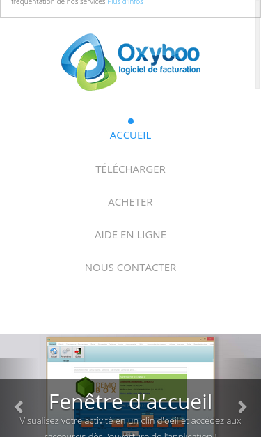 Mobile view