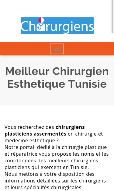 Mobile view