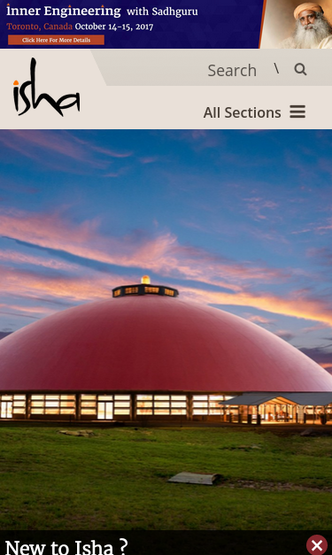 Mobile view