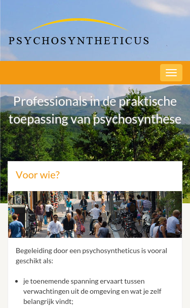 Mobile view