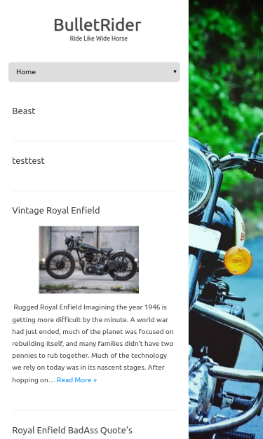 Mobile view