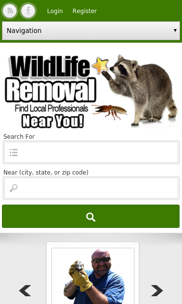 Mobile view