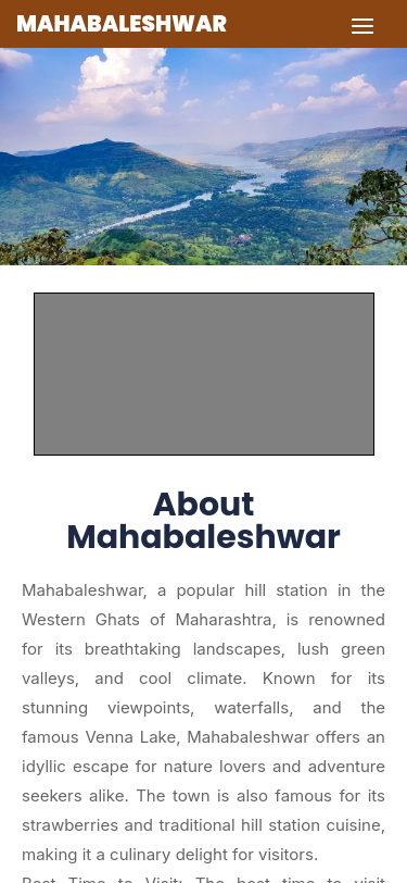 Mobile view