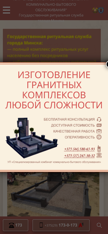Mobile view
