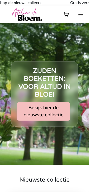 Mobile view