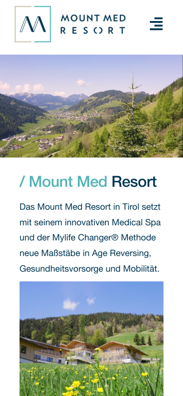 Mobile view