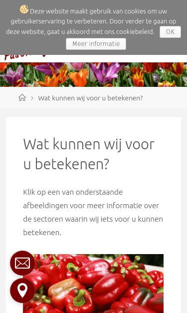 Mobile view