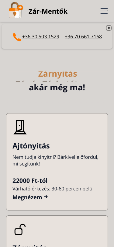 Mobile view