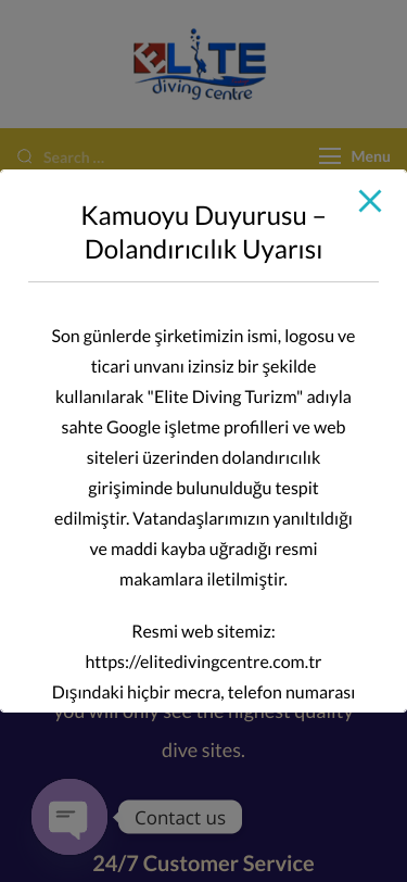 Mobile view