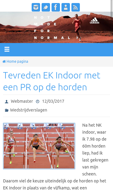Mobile view