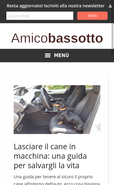 Mobile view