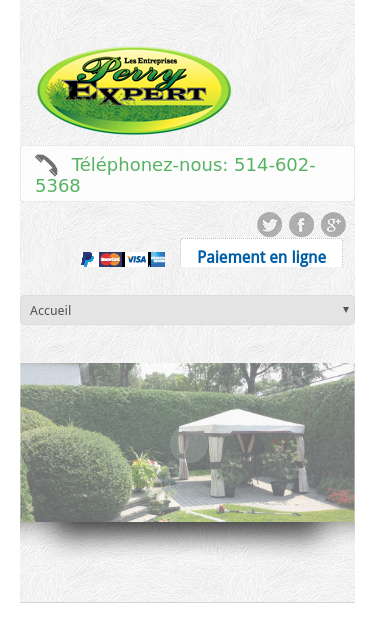 Mobile view