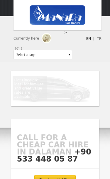 Mobile view