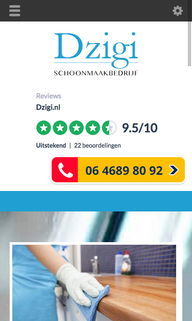 Mobile view