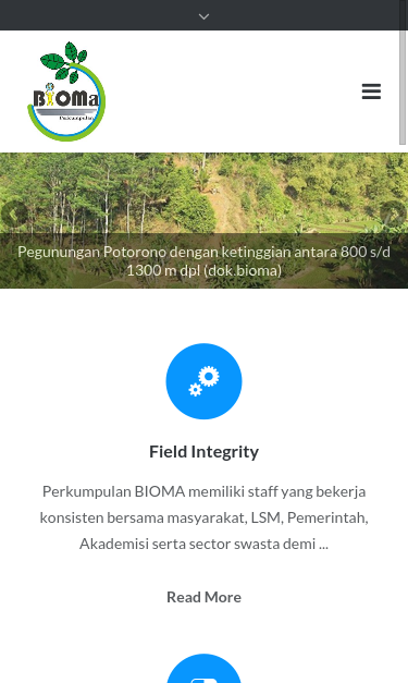 Mobile view