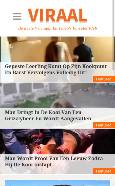 Mobile view