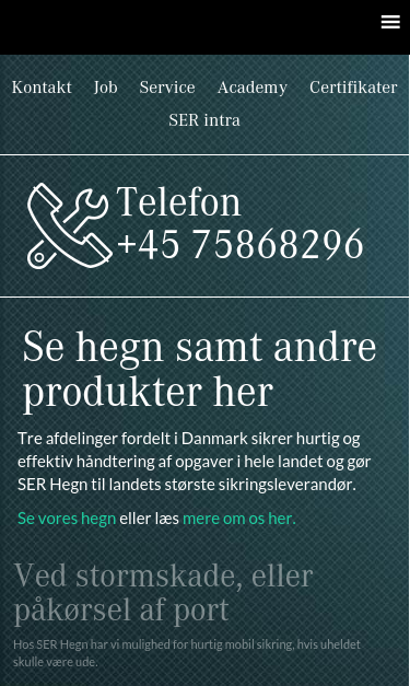 Mobile view