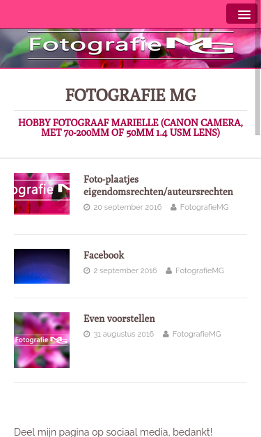 Mobile view
