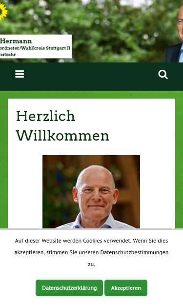 Mobile view