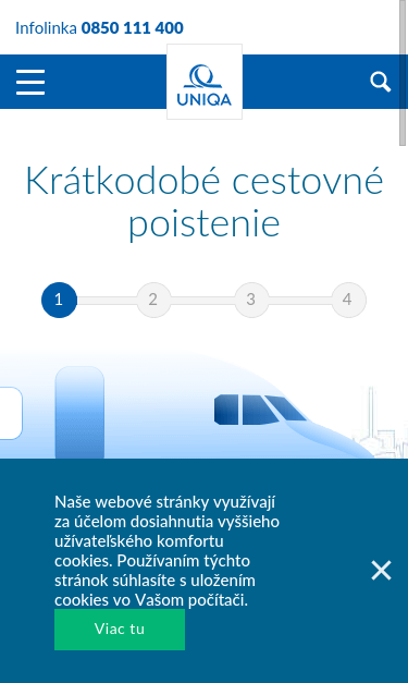 Mobile view