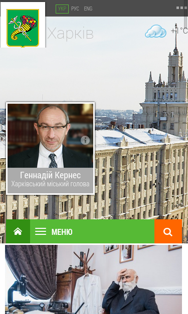 Mobile view