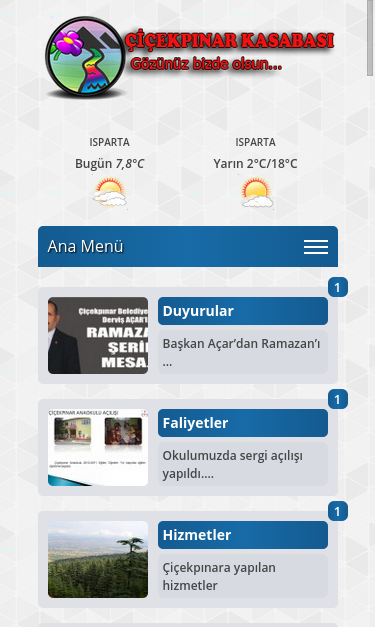 Mobile view